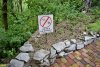 Застройка земель лесного фонда в районе Криницы компанией "Изумрудный берег"