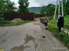 Криница. Поселок краснодарских депутатов