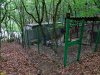 Застройка леса в квартале 169А Пшадского лесничества (с.Криница, Геленджик)