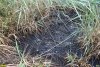 Свидетельство перелива в реку Зыбза нефтяных отходов из комплекса ООО "Ртутная безопасность"