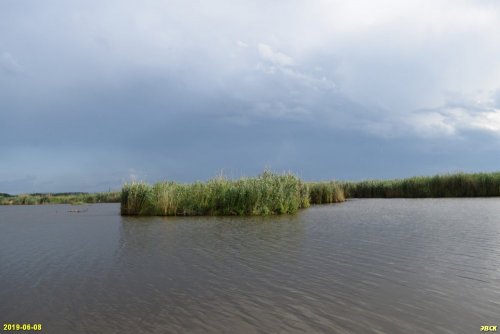 Борисенков лиман