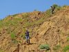 Вокруг Синегорского карьера обширные пространства занимают отвалы вскрышных пород