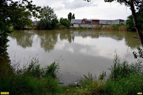 Озеро Горская Старица стало мертвым из-за регулярного слива в него отходов