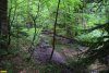 В верховьях реки Серебрячка