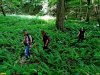 В долине реки Серебрячка