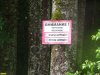 Аншлаг установленный перед Водопадной поляной, запрещающий въезд и проход на территорию строительства дороги
