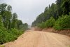 Восстановленный участок дороги на Лунную Поляну, строительство которого было остановлено в 2009г.