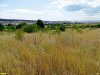 Участок первичной лесостепи на фоне Геленджика, рядом со свалкой