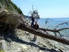 Летний лагерь ЭВСК-2019