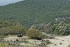 Реку Шапсухо в Туапсинском районе облюбовали джипперы