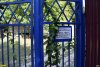 Лермонтово. Участок лесного фонда, арендованный ООО "Фирма "Сервисгазавтоматика", незаконно огорожен со всех сторон