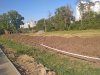 Начало строительных работ в Николаевском бульваре