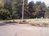 Уничтожение голубых елей на главной аллее КубГАУ