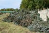 Трупы бессмысленно вырубленных деревьев на территории КубГАУ