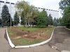 На месте аллеи - пустота и пеньки
