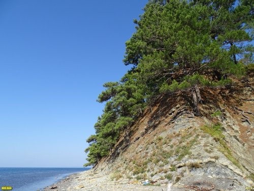 Берег Чёрного моря в районе посёлка 6-я Дача