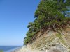 Берег Чёрного моря в районе посёлка 6-я Дача