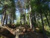 Ландшафты в районе посёлка Агрия