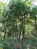 Ландшафты в районе посёлка Агрия