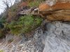 Прибрежные ландшафты в районе бывшего санатория "Черноморье"
