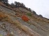 Прибрежные ландшафты в районе бывшего санатория "Черноморье"