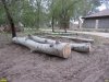 Уничтожение леса на Зелёном острове в Краснодаре