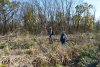 Активисты ЭкоВахты осматривают последствия огромной просеки под строительство ЛЭП в лесу Хлибизи