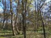 Лес Хлибизи