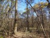Лес Хлибизи