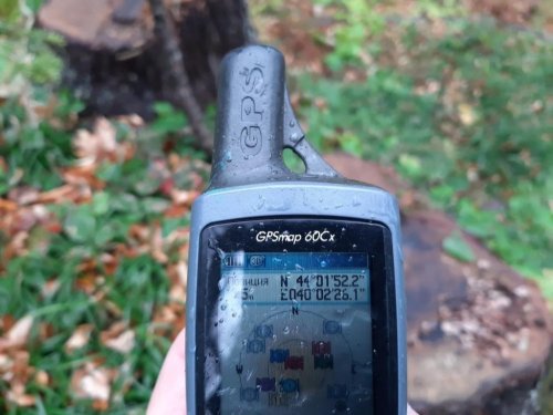 Координаты лесосеки определены по навигатору GPS