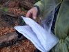 Уточняются границы лесосеки