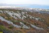 Новороссийск. Мысхако. По планам местных властей, на этой горе должен появиться новый микрорайон жилой застройки