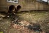 Сброс канализации с заправки "Роснефти" в районе Тургеневского моста