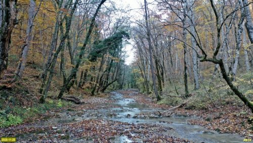Река Кабак (окрестности с.Ольгинка, Туапсинский район)