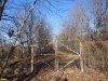 Ворота при въезде на территорию арендованного Жанной Арефьевой участка лесного фонда закрыты на замок