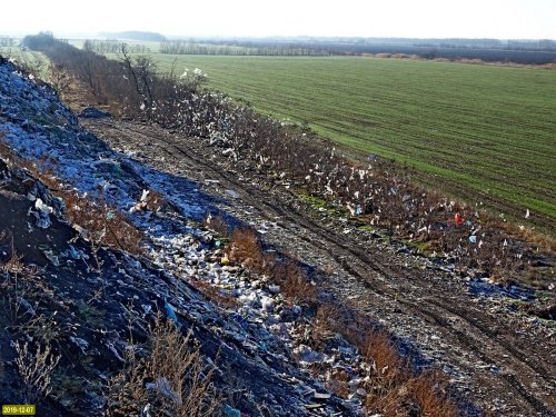 Вид с мусорной горы на залепленную разлетающимися со свалки пакетами лесополосу