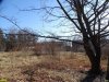 Ещё один участок Чистяковской рощи, выходящий на улицу 40 лет Победы, который планировалось застроить