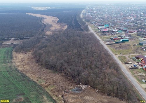 Северопластуновский лес