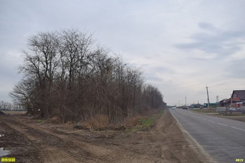 Северопластуновский лес