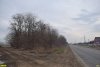 Северопластуновский лес