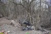 Отходами засыпан также прилегающий к незаконной автостоянке Северопластуновский лес