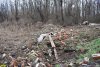 Нелегальная свалка отходов в русле ручья возле станицы Пластуновской