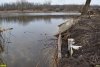 Водоём выше дамбы на реке Сосыка