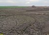 Перегнивший сахарный жом на полях фильтрации Паловского сахарного завода