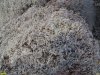 Свекловичный жом с Павловского сахарного завода вместо использования в качестве корма для животных выбрасывается как отход