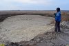 Свалка свежего свекловичного жома на полях фильтрации Павловского сахарного завода