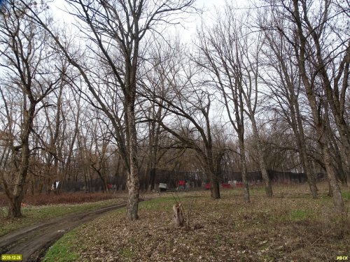 Павловский лес