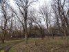 Павловский лес