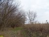 Павловский лес. Дорога вдоль реки Сосыка