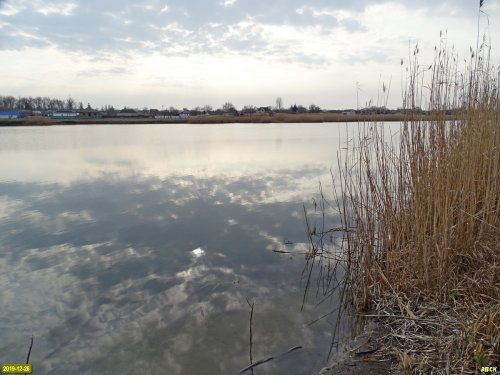 Павловская, река Сосыка
